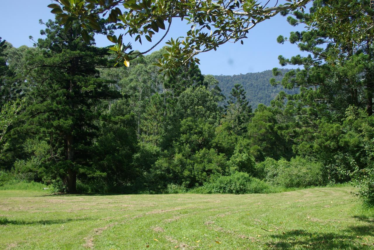 The Bushranger Hideaway Motel Midginbil Bilik gambar