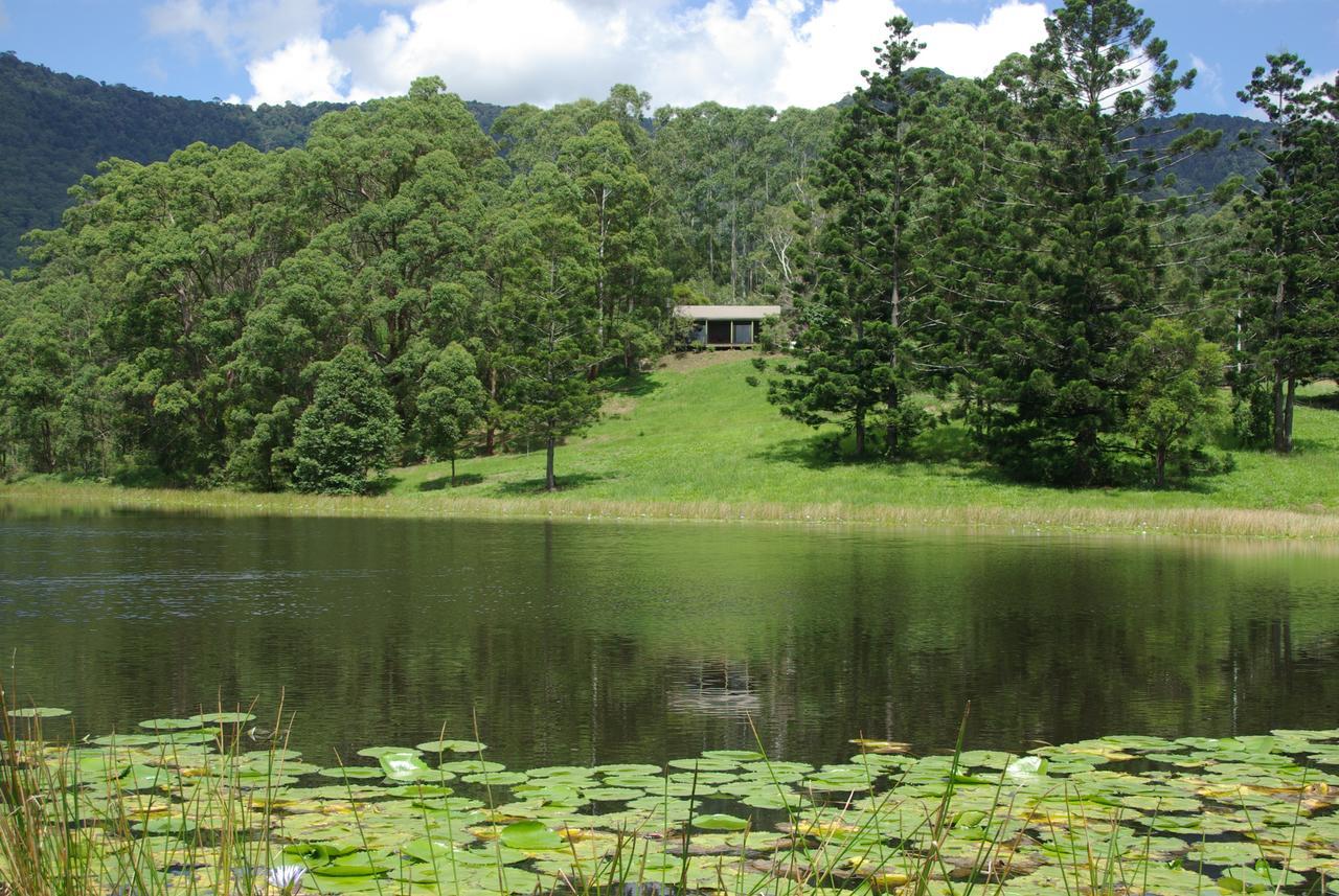 The Bushranger Hideaway Motel Midginbil Bilik gambar