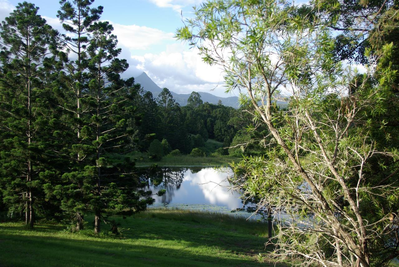 The Bushranger Hideaway Motel Midginbil Bilik gambar